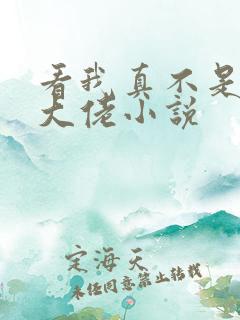 看我真不是女装大佬小说