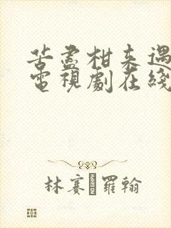 苦尽柑来遇见你电视剧在线观看全集免费播放