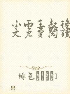 小雨王叔后续全文免费阅读小说