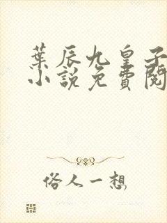 叶辰九皇子穿越小说免费阅读