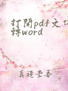 打开pdf文件转word