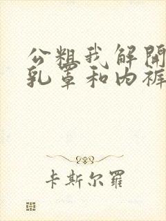 公粗我解开我的乳罩和内裤微博小说