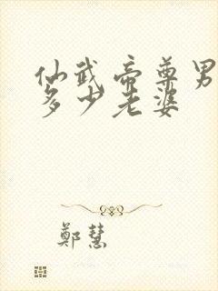 仙武帝尊男主有多少老婆