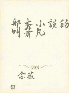 哪本小说的主角叫萧凡