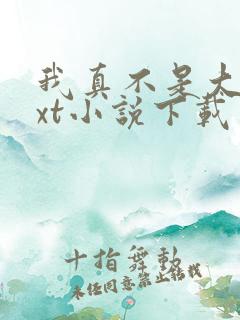 我真不是大佬txt小说下载