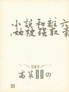 小说和离六年后,她被强取豪夺了