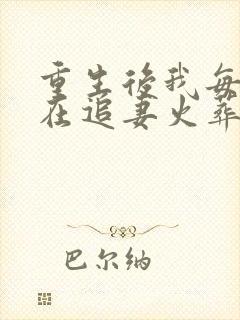 重生后我每天都在追妻火葬场 转山见水