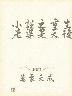 小说之重生我的老婆是天后