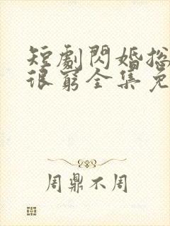 短剧闪婚总裁都很穷全集免费观看