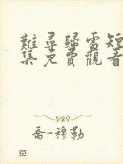 难寻归处短剧全集免费观看