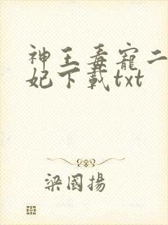 神王毒宠二嫁王妃下载txt