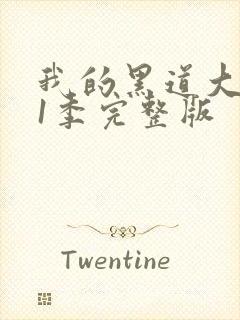 我的黑道大佬第1季完整版