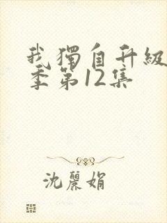 我独自升级第二季第12集