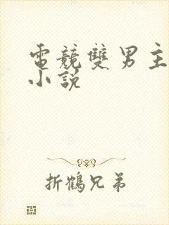 电竞双男主推文小说