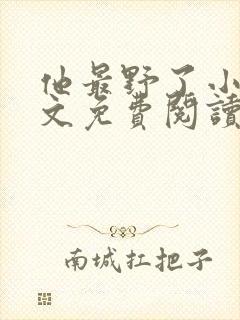 他最野了小说全文免费阅读无弹窗