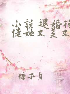 小说 退婚后大佬她又美又飒