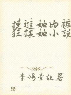 摸进她内裤里疯狂揉她小说