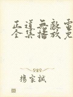 正道无敌电视剧全集播放免费观看