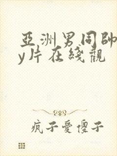 亚洲男同帅gay片在线观