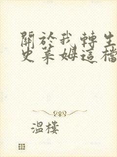 关于我转生变成史莱姆这档事大贤者