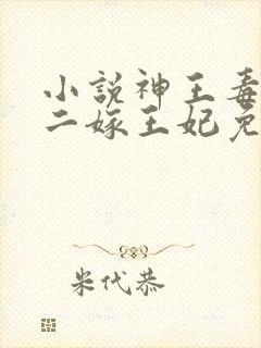 小说神王毒宠:二嫁王妃免费看