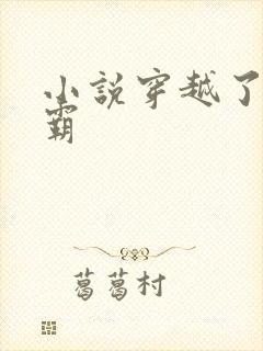 小说穿越了的学霸