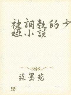 被调教的少妇张娅小说