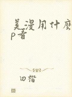 美漫用什么app看