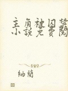 主角被囚禁后的小说免费阅读