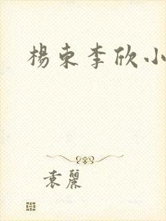 杨东李欣小说