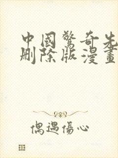 中国惊奇先生未删除版漫画