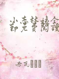 小志林姨全部章节免费阅读