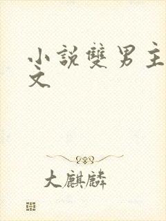 小说双男主电竞文