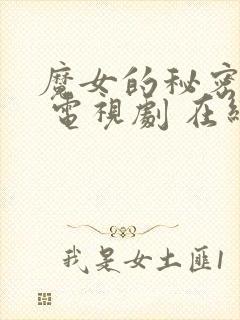 魔女的秘密契约 电视剧 在线观看