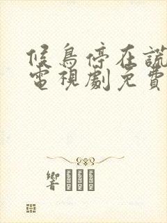 候鸟停在谎言季电视剧免费