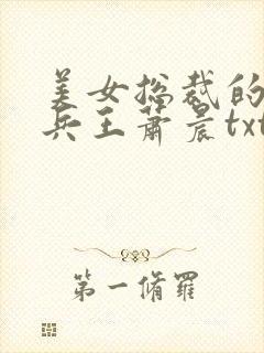 美女总裁的全能兵王萧晨txt