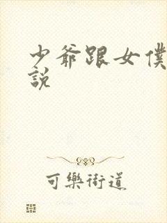 少爷跟女仆的小说