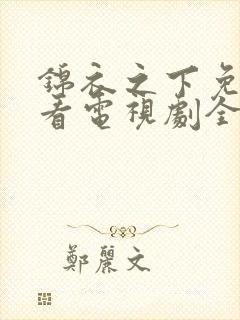 锦衣之下免费观看电视剧全集在线播放