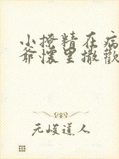 小撩精在病娇薄爷怀里撒欢免费阅读