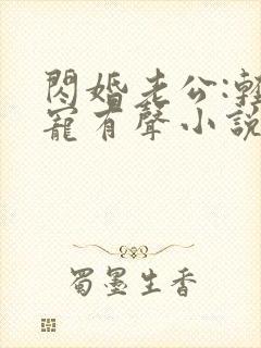 闪婚老公:轻点宠有声小说完整