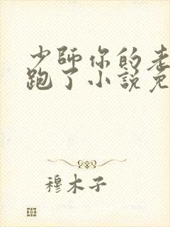 少师你的老婆又跑了小说免费阅读