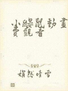 小鼹鼠动画片免费观看