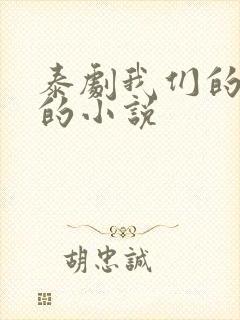 泰剧我们的秘密的小说