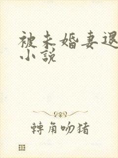 被未婚妻退婚的小说