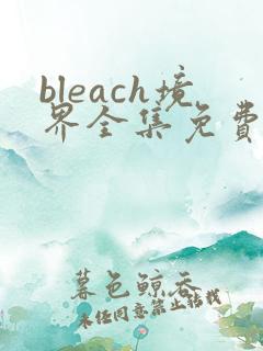 bleach境界全集免费观看高清无删减版完整版