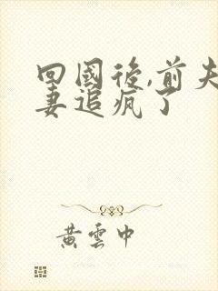 回国后,前夫追妻追疯了