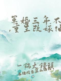 军婚三年不圆房,重生改嫁他首长电子版