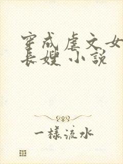 穿成虐文女主的长嫂 小说