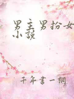 男主男扮女装的小说