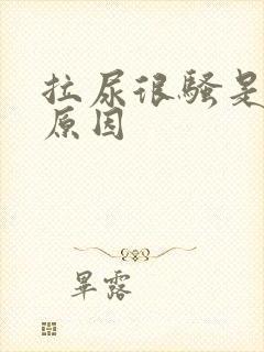 拉尿很骚是什么原因